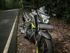 Honda CB Hornet Special Edition 2019