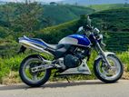 Honda CB Hornet 2010