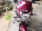Honda CB Shine 2011