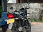 Honda CB Shine 2013