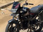 Honda CB Shine 2013