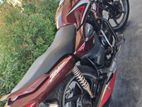 Honda CB Shine 2018
