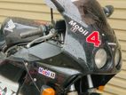 Honda CBR Gullarm 2007