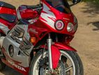 Honda CBR MC22 Gullarm 250 2009