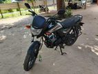 Honda CD 110 2019