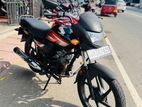 Honda CD 110 2019
