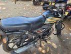 Honda CD 110 2019