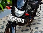 Honda CD 110 2018