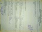 Honda CD 125 T 1984