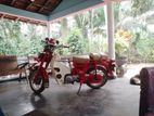 Honda CD 70 2007