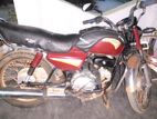 Honda CD Down 2005