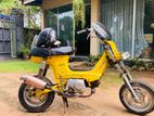 Honda Chaly 1983