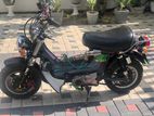 Honda Chaly 1984