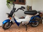 Honda Chaly 1989