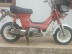 Honda Chaly 1991