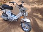 Honda Chaly 1993