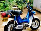 Honda Chaly 1994