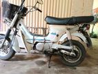 Honda Chaly 1994