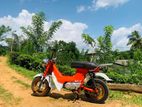 Honda Chaly 1995