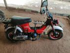 Honda Chaly 1998