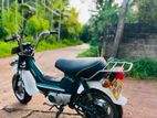 Honda Chaly 2005