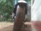 Honda Chaly 2005