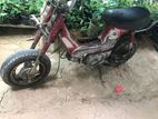 Honda Chaly 2021