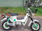 Honda Chaly 50 2004