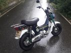 Honda Chaly 70 1990