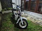 Honda Chaly 70cc 1985