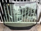 Honda Civic FD1 FD2 FD3 FD4 Windscreen