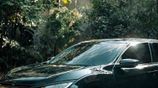 Honda Civic Sedan 2020