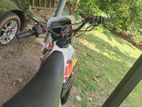 Honda CRF 2019
