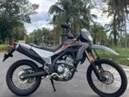 Honda CRF 250L 2025