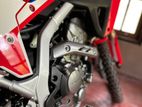 Honda CRF250 2024