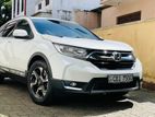 Honda CRV 7 Seater 2019