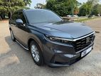 Honda CRV 7 Seater 2025
