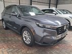 Honda CRV VTIL-7 2024