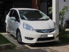 Honda Fit Shuttle GP2 2013
