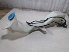 Honda Fit Shuttle GP2 Windshield Washer Tank
