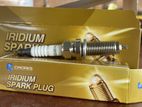 Honda Gp1 Sprak Plugs Shuttle Fit