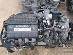 Honda GP4 Engine (Motte)