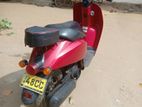 Honda Grazia 48cc 2024