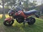 Honda GROM MX110 2019