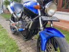 Honda Hornet 110 2015