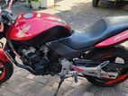 Honda Hornet 115 2013