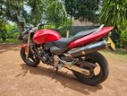 Honda Hornet 130 2024