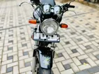 Honda Hornet . 1998