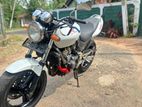 Honda Hornet 2000