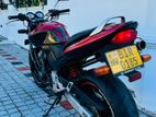 Honda Hornet 2010